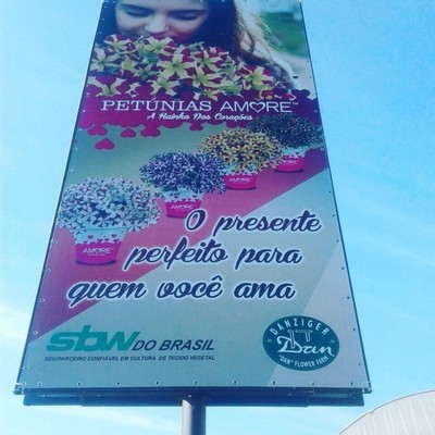 Impressão Digital de Faixas para Quadros Preço São João da Boa Vista - Impressão Digital de Banners Personalizada